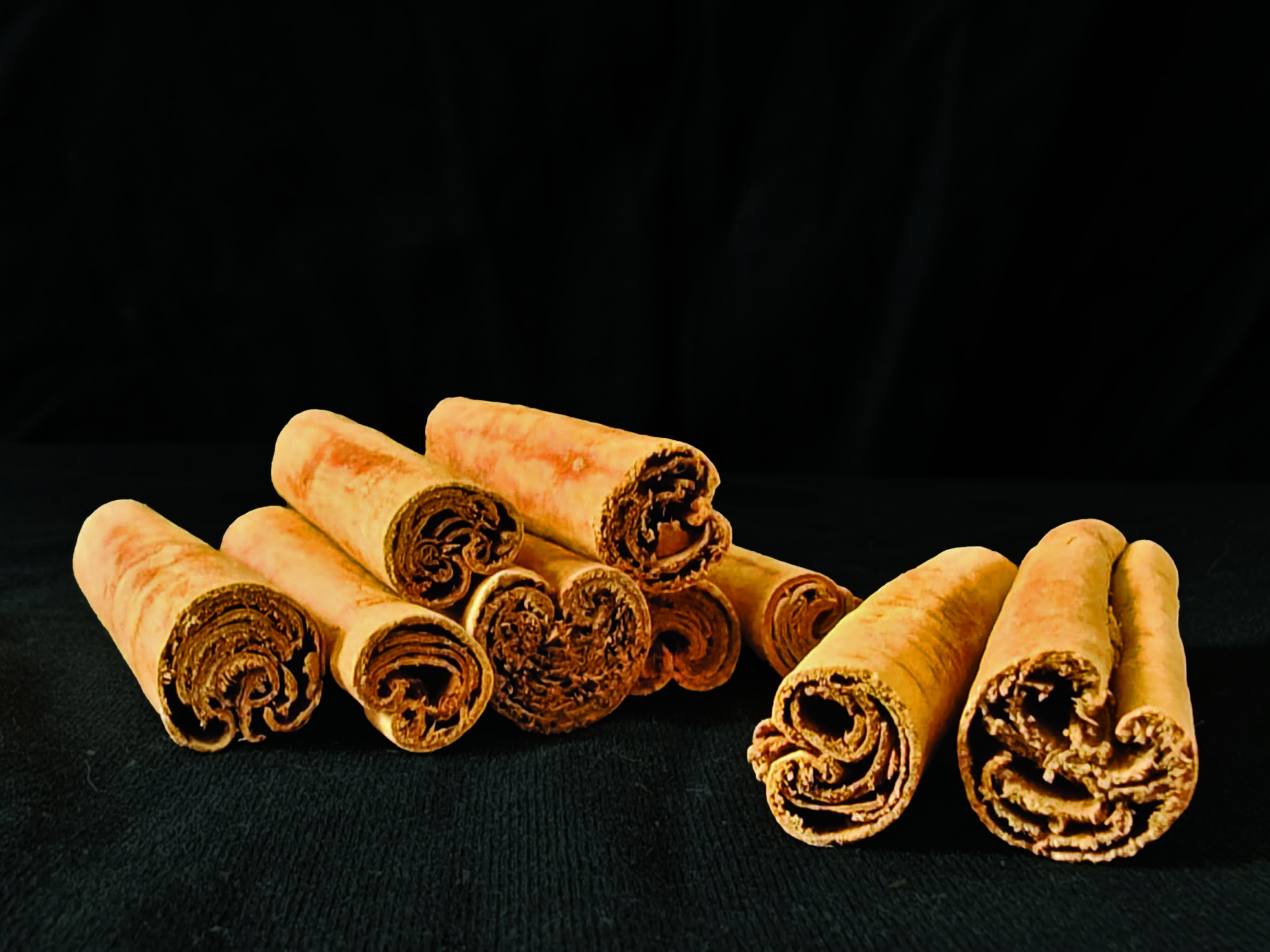 FOODEX JAPAN 2026 Slide 2