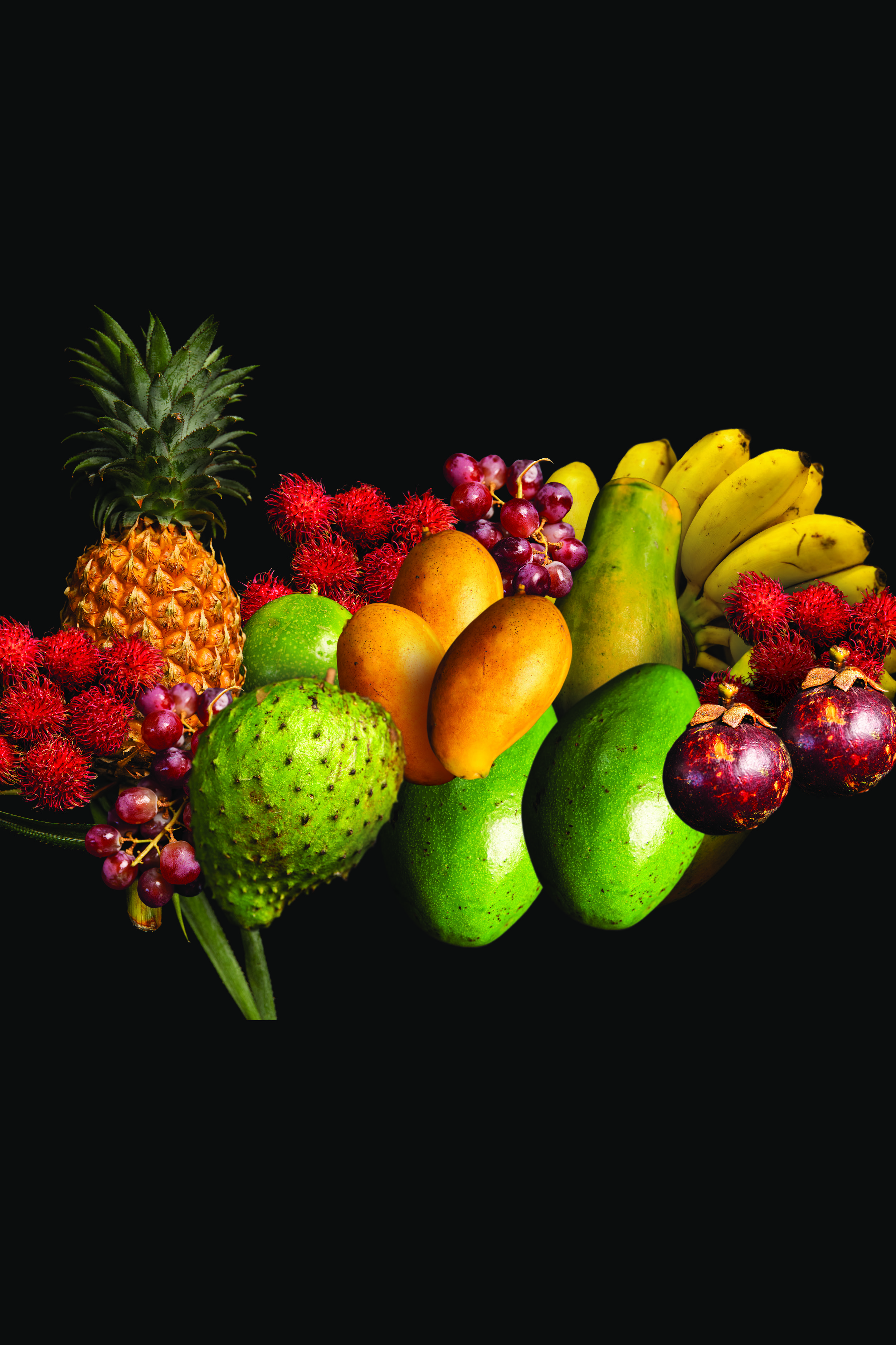 FOODEX JAPAN 2026 Slide 2