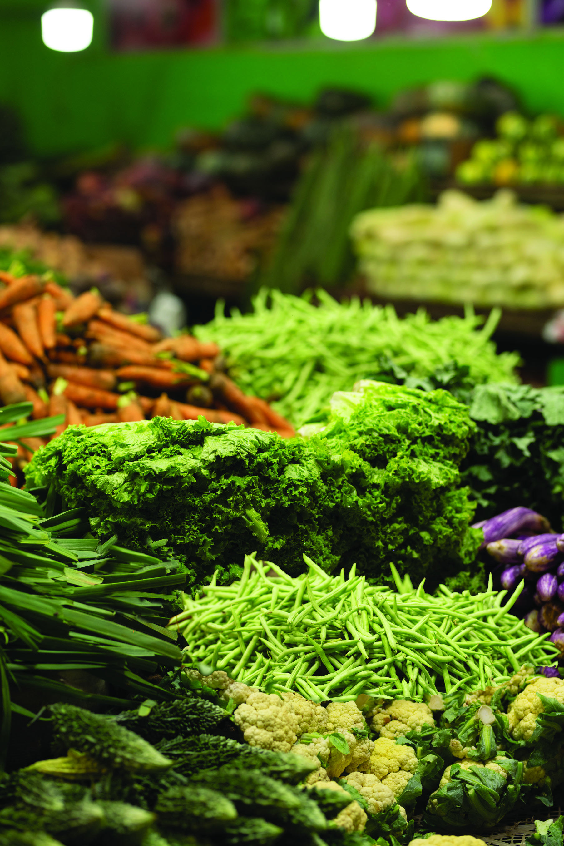 FOODEX JAPAN 2026 Slide 2