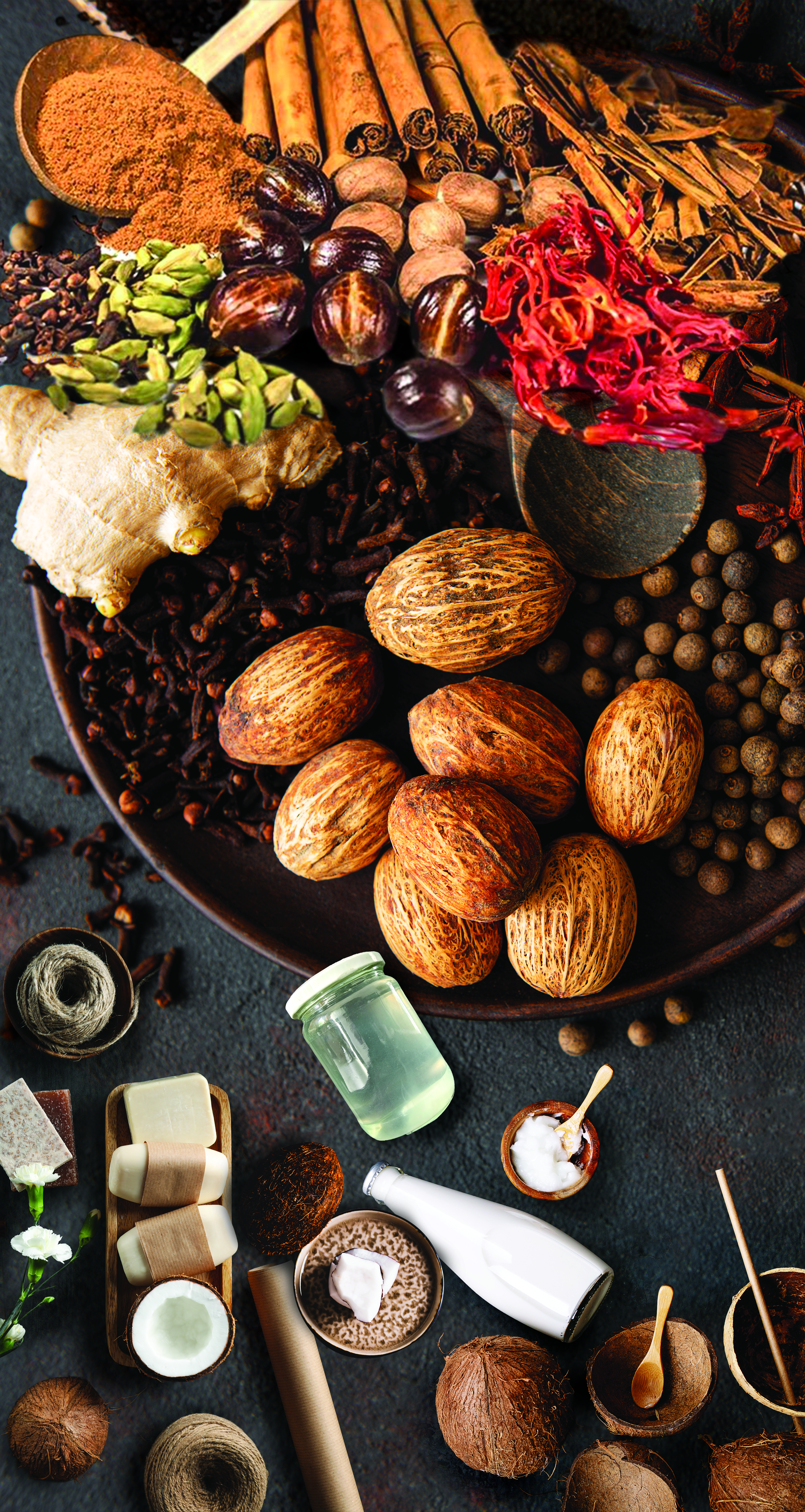 FOODEX JAPAN 2026 Slide 2